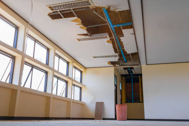 Best Ceiling water damage repair  in Battle Creek, MI