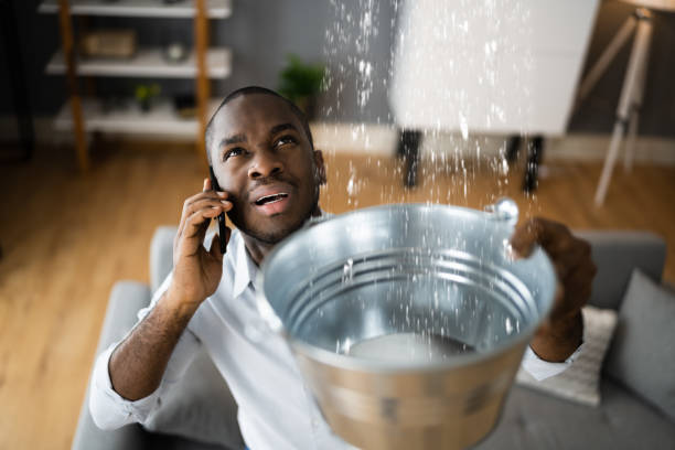 Best Mold removal after water damage  in Battle Creek, MI