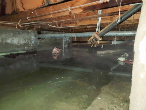 Water damage restoration mold remediation in Battle Creek, MI