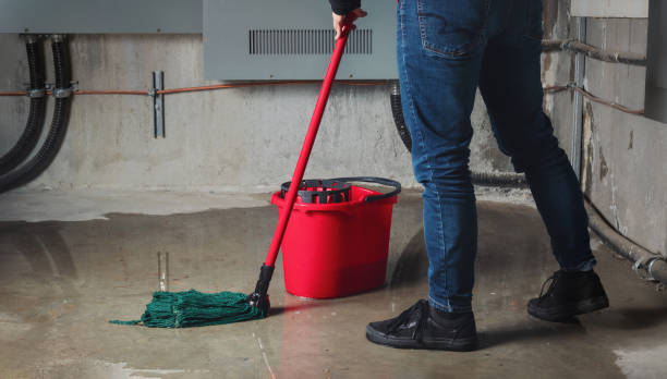 Water damage restoration insurance claims in Battle Creek, MI