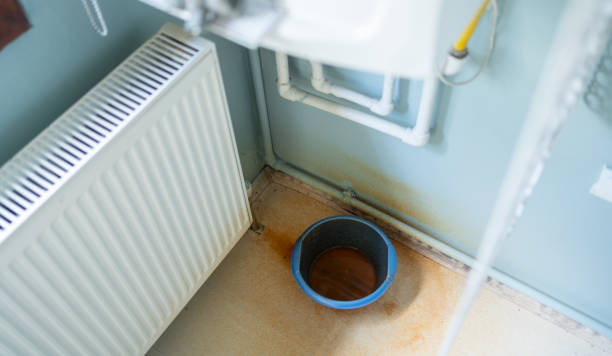 Best Water damage restoration mold remediation  in Battle Creek, MI